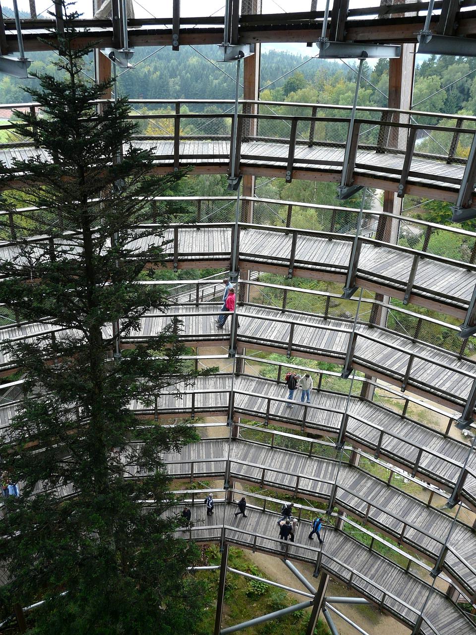 Hands typing on laptop with charts and journal besides