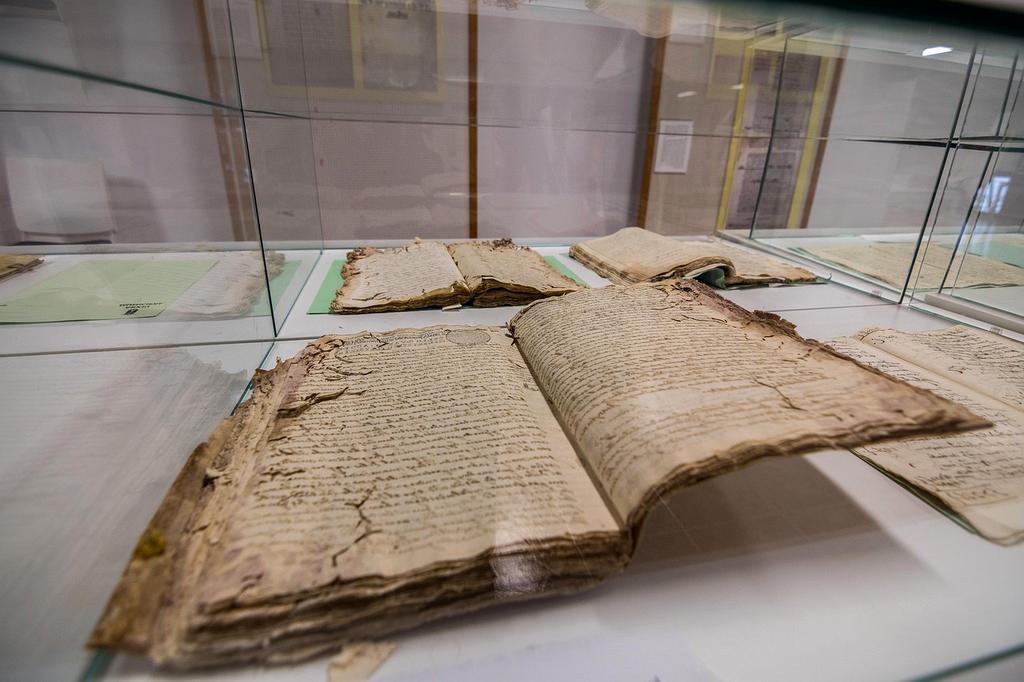 Memory consolidation process during sleep cycles