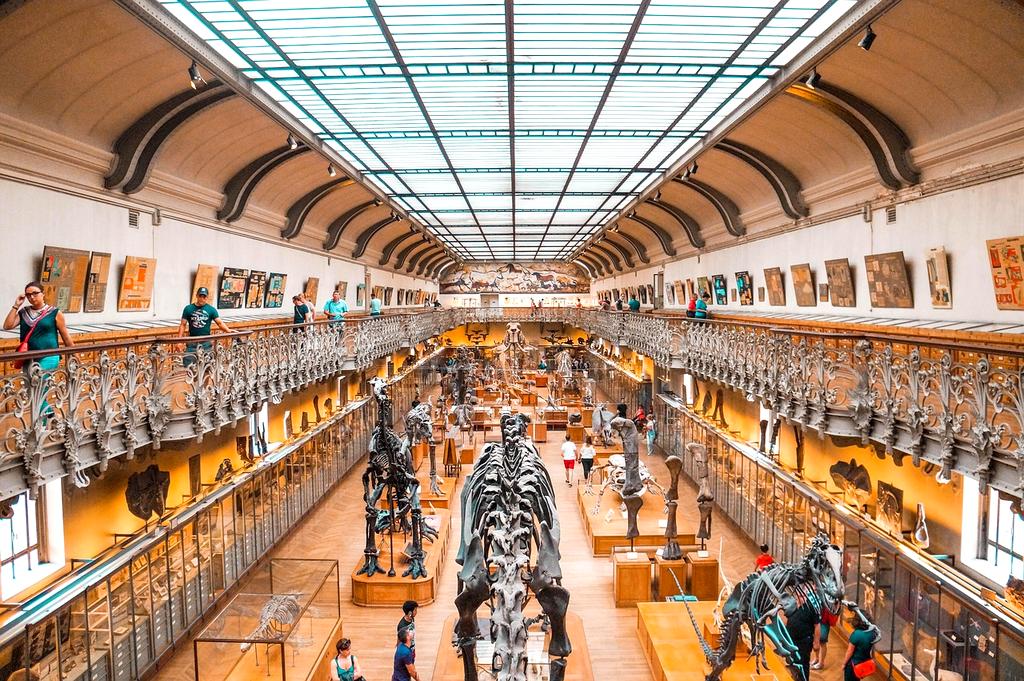 Data protection shield