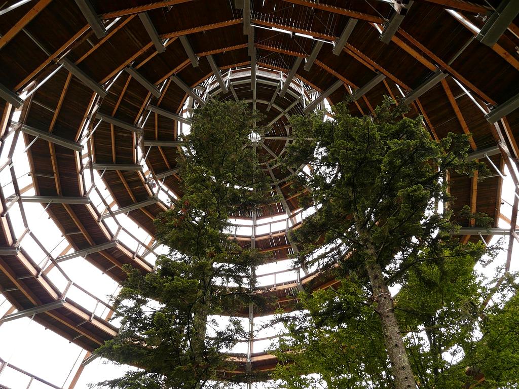 Direct expert support icon