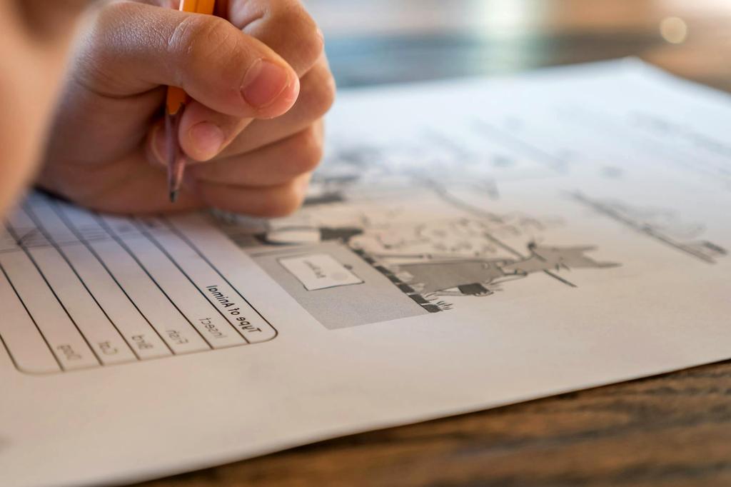 Interactive worksheets icon